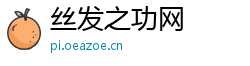 丝发之功网